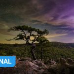 When lightning strikes: how to make the most out of any situation