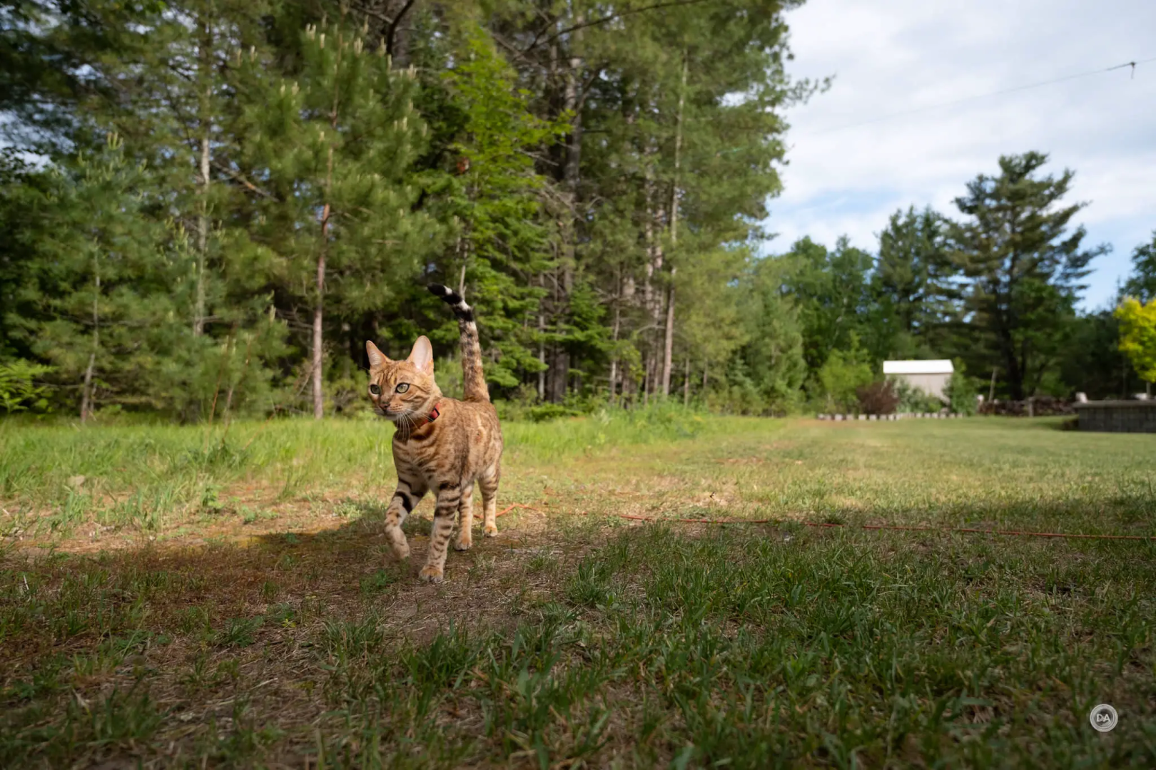 Fujifilm X-S20 review