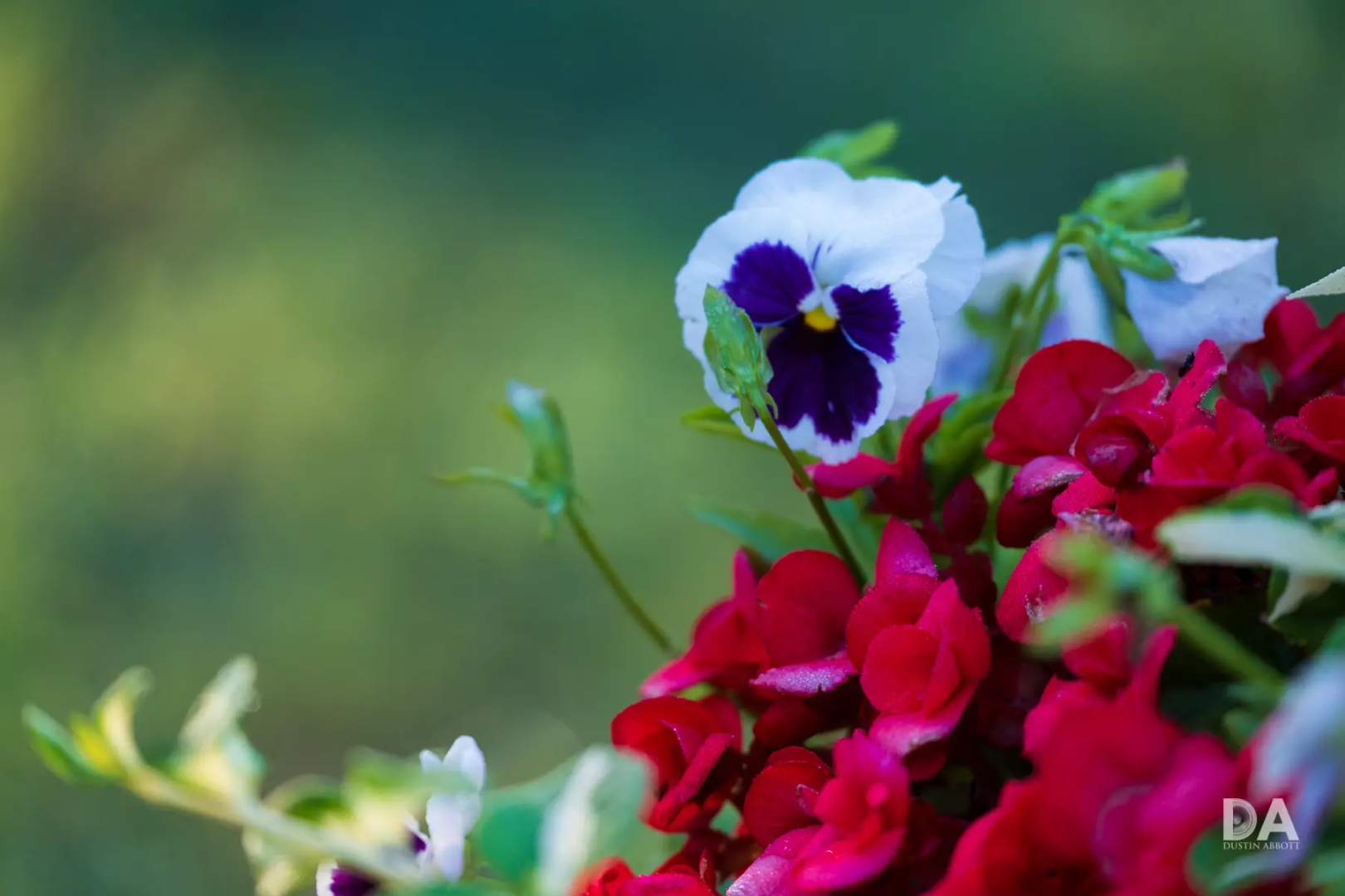 Fujifilm X-S20 review