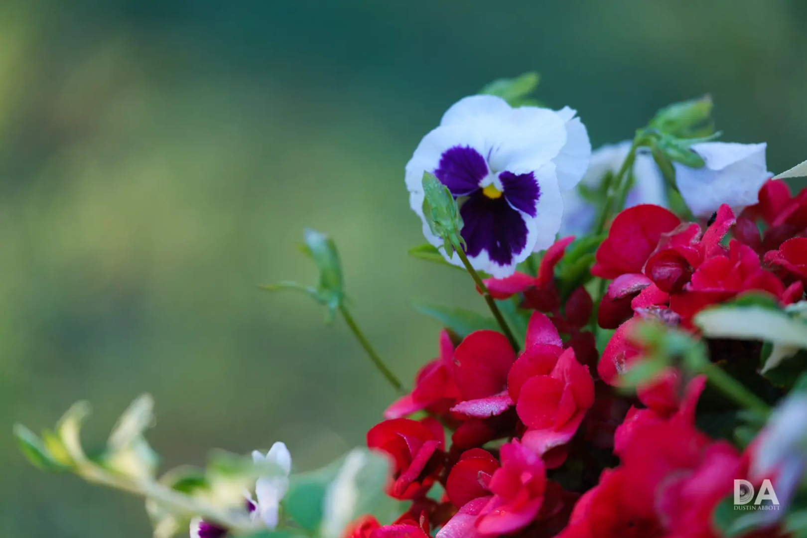 Fujifilm X-S20 review