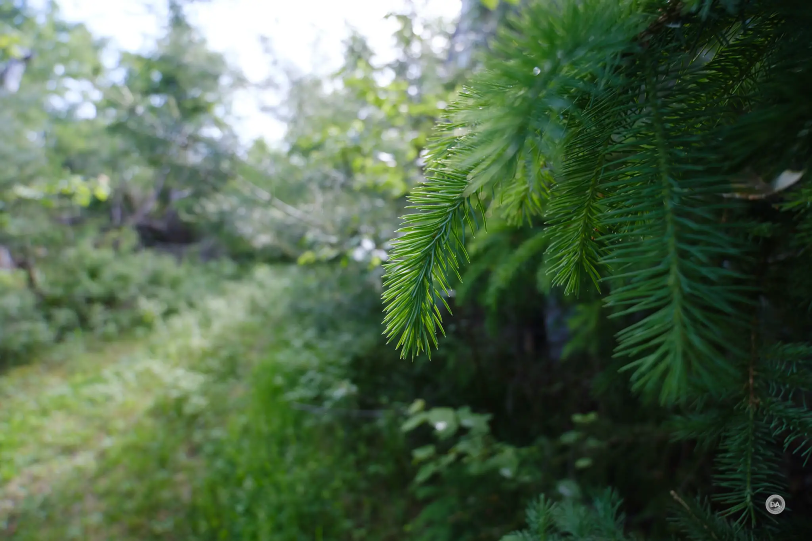 Fujifilm X-S20 review
