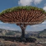 Nikon's anti-AI ad reminds us of the wonder of the real world