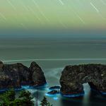 How I took the shot: capturing the magic of bioluminescence