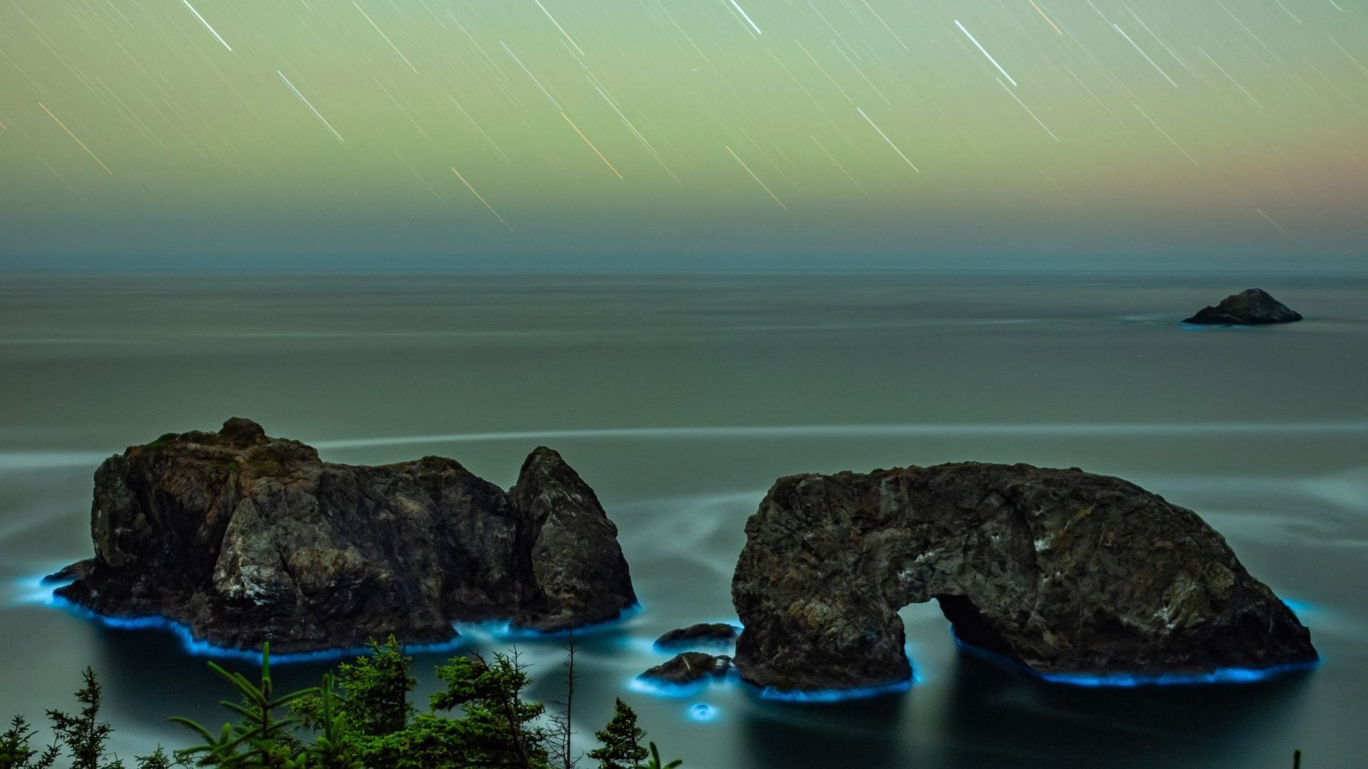 How I took the shot: capturing the magic of bioluminescence