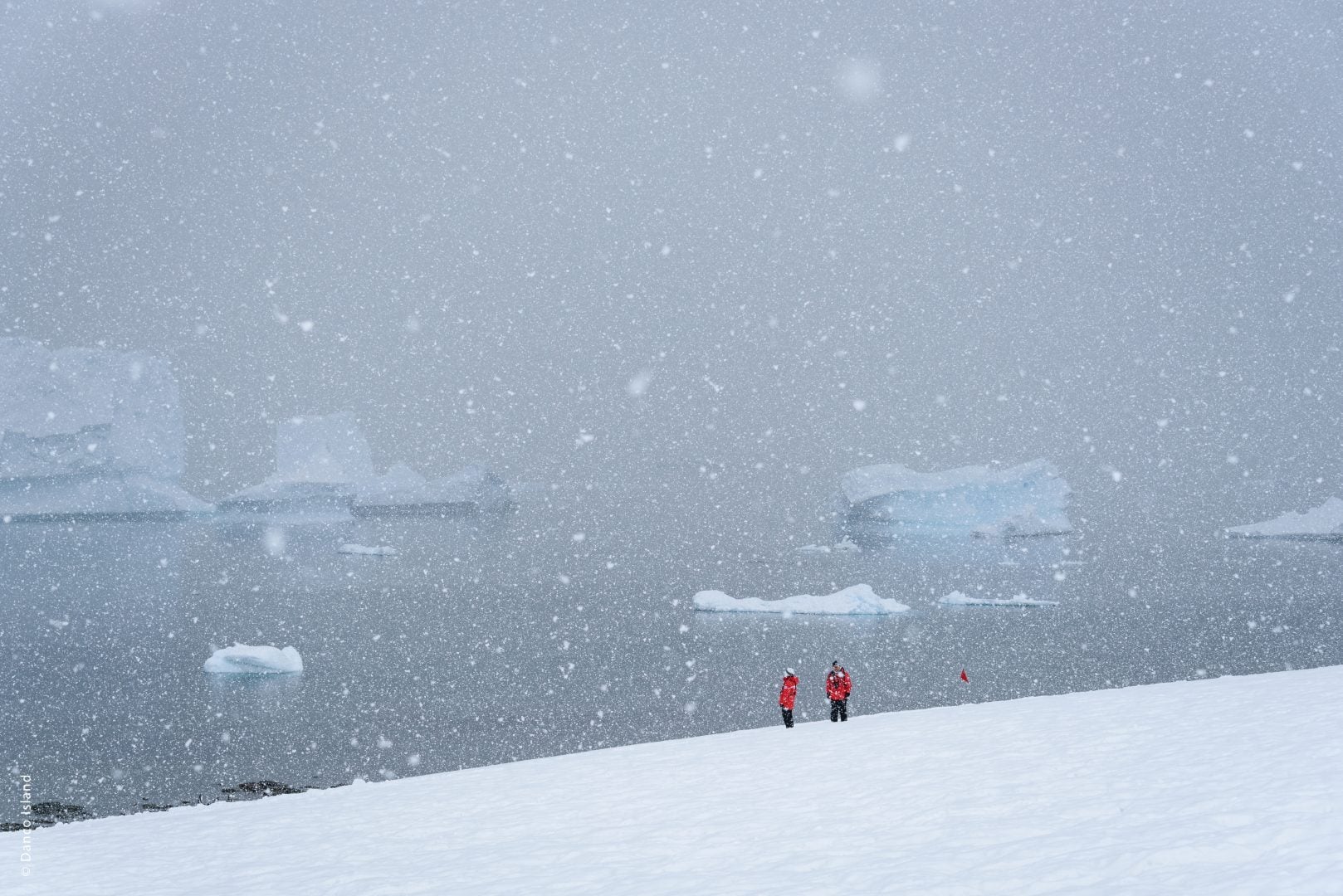 Two tourists in red coats on a snowfield, snowing hard wet heavy snow, water and icebergs in a foggy background Danco Island, Antarctica