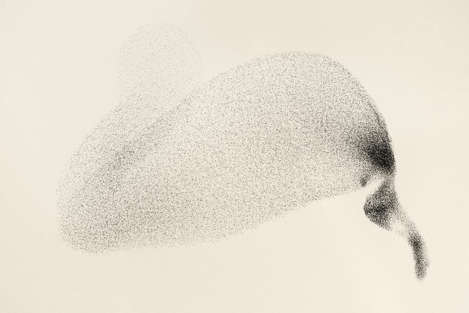 starling murmurations monochrome