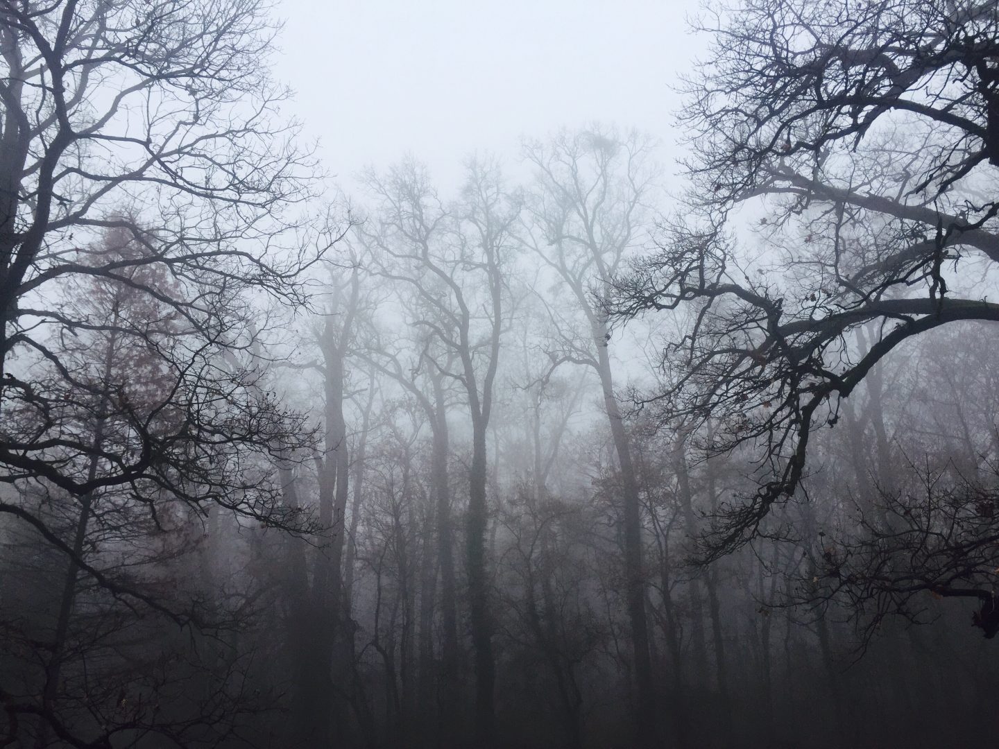 5 ways to find inspiration when the weather is sad and grey