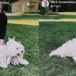 Zuckerberg disappears himself to showcase Meta's new AI capabilities