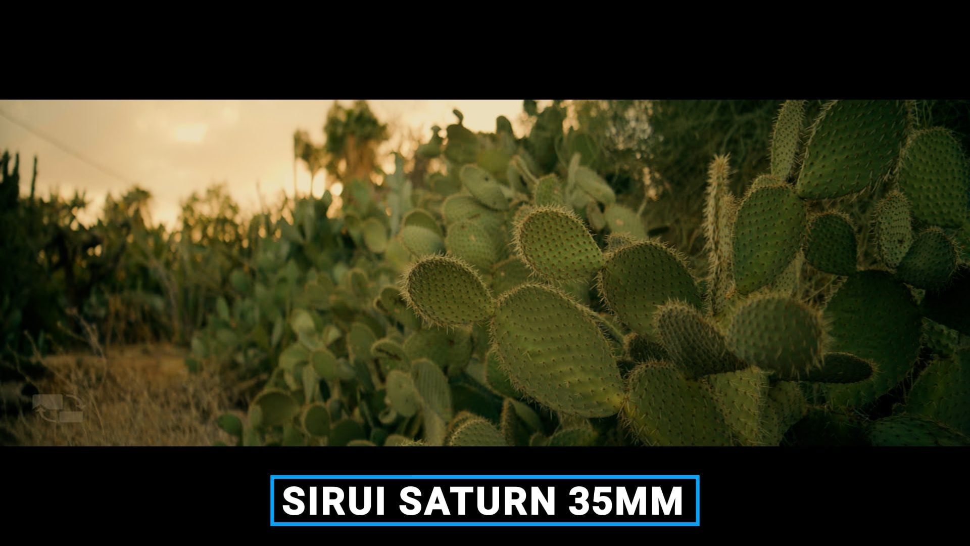 SIRUI Saturn 35mm sharpness test