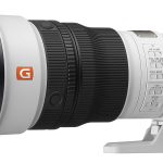 Sony FE 300mm f/2.8 GM OSS
