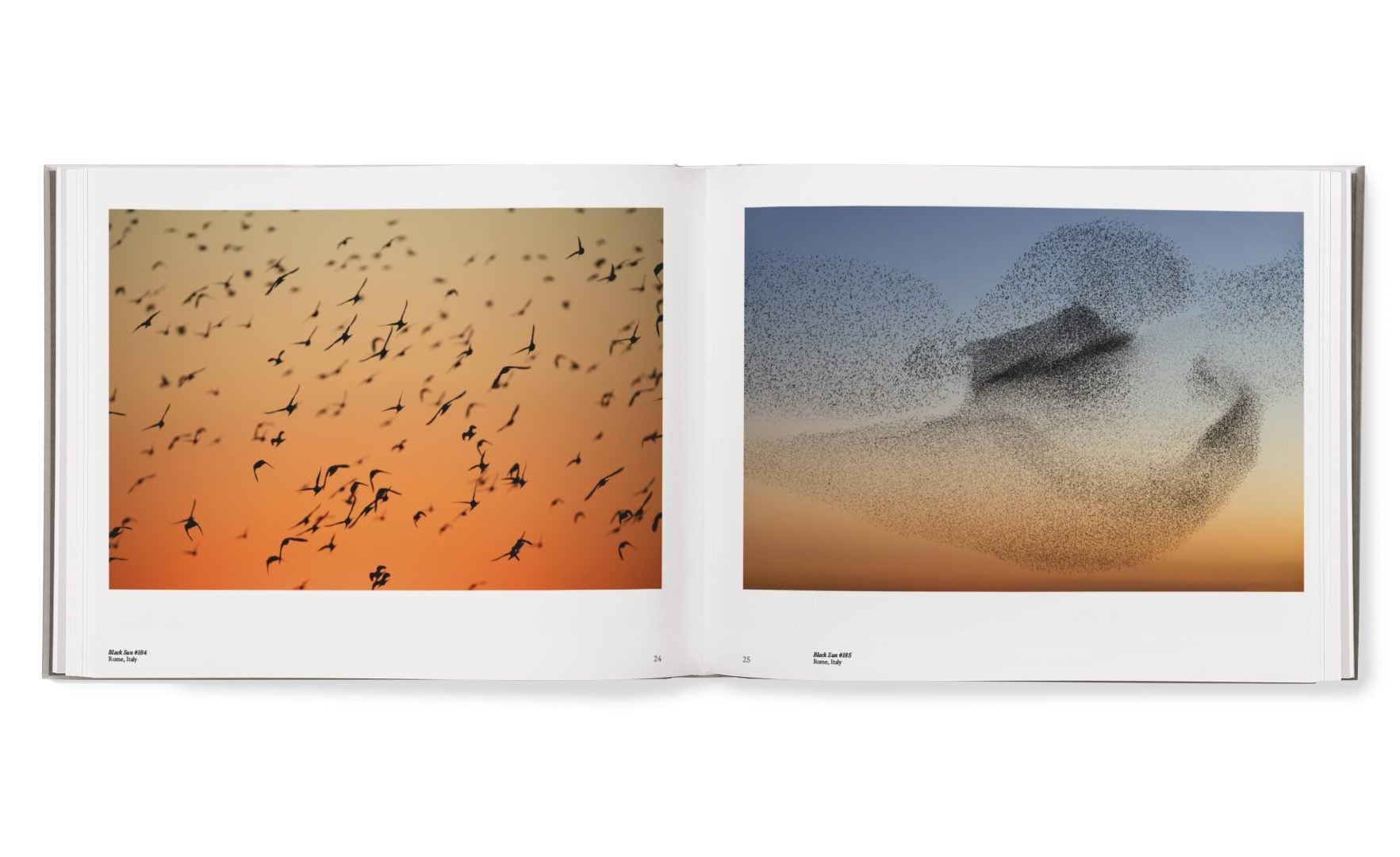 starling murmurations book cover