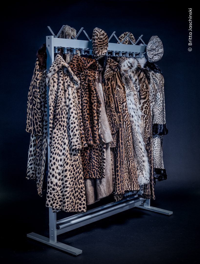 Wildlife Photographer of the Year fur coats