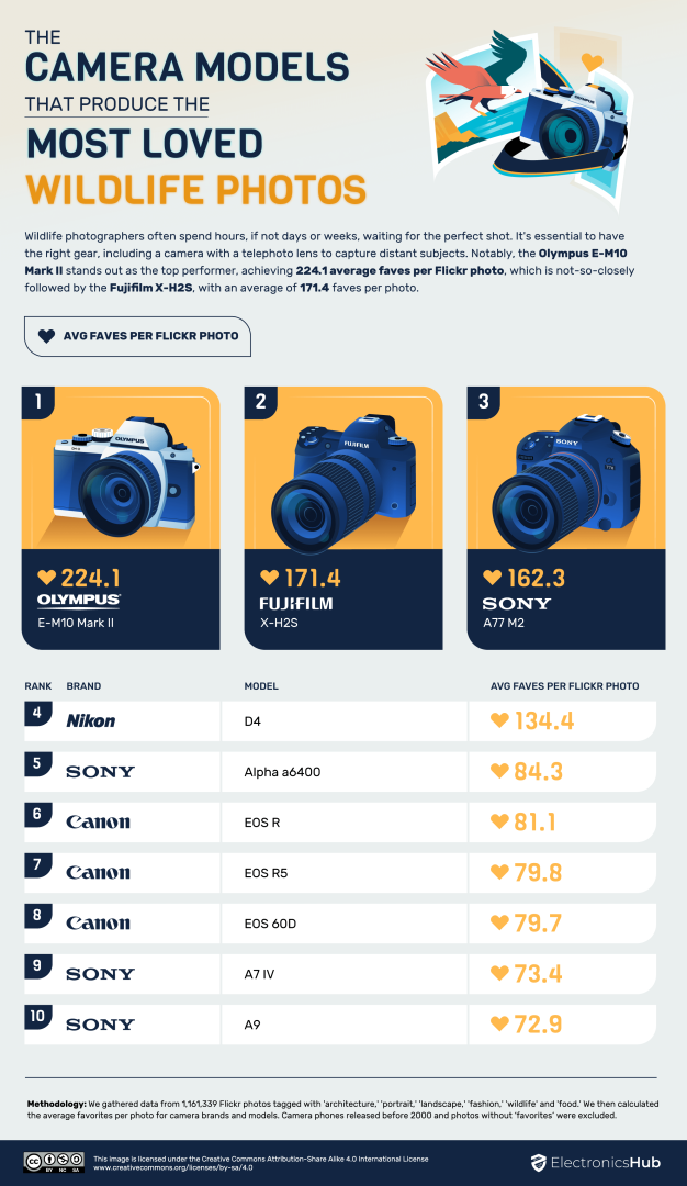flickr most loved wildlife photos cameras