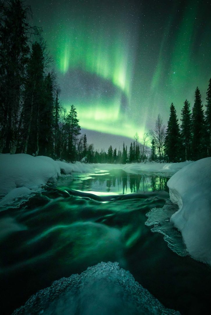 northern lights in frosty forest