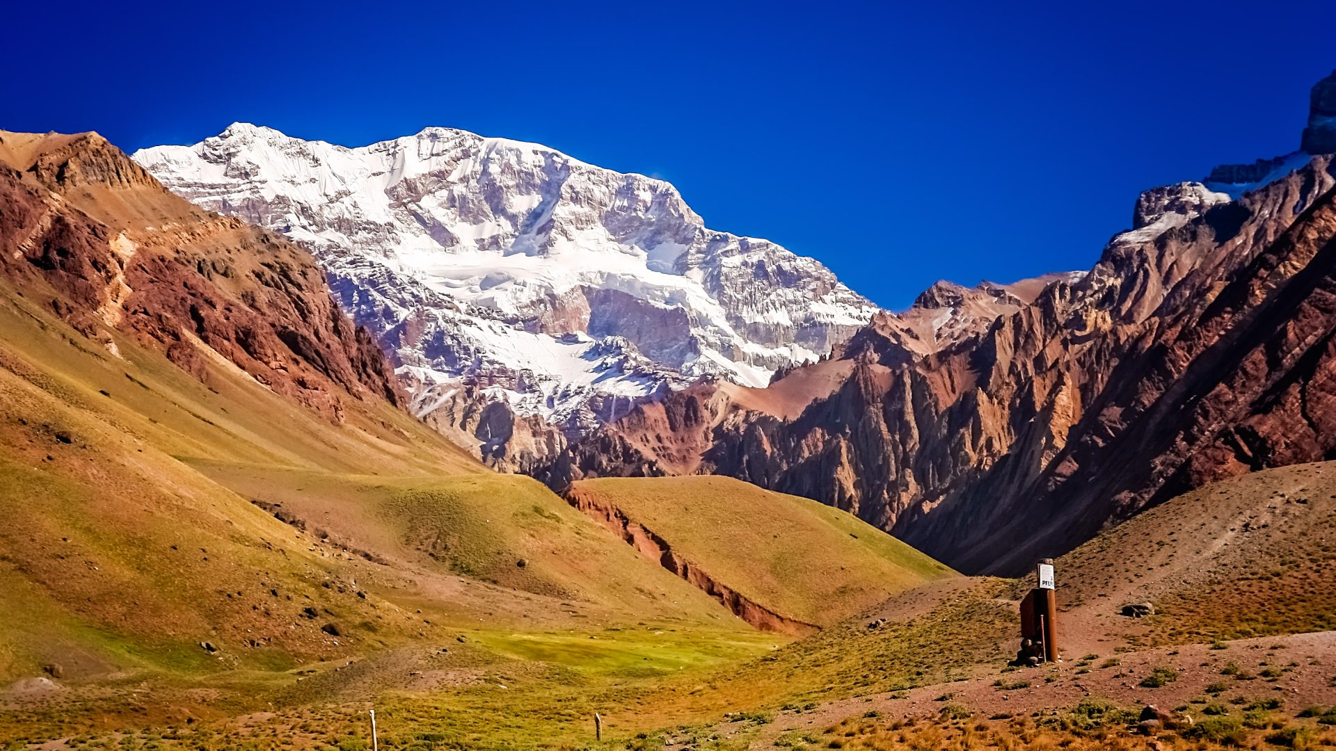 Dead mountaineer's camera found in receding glacier