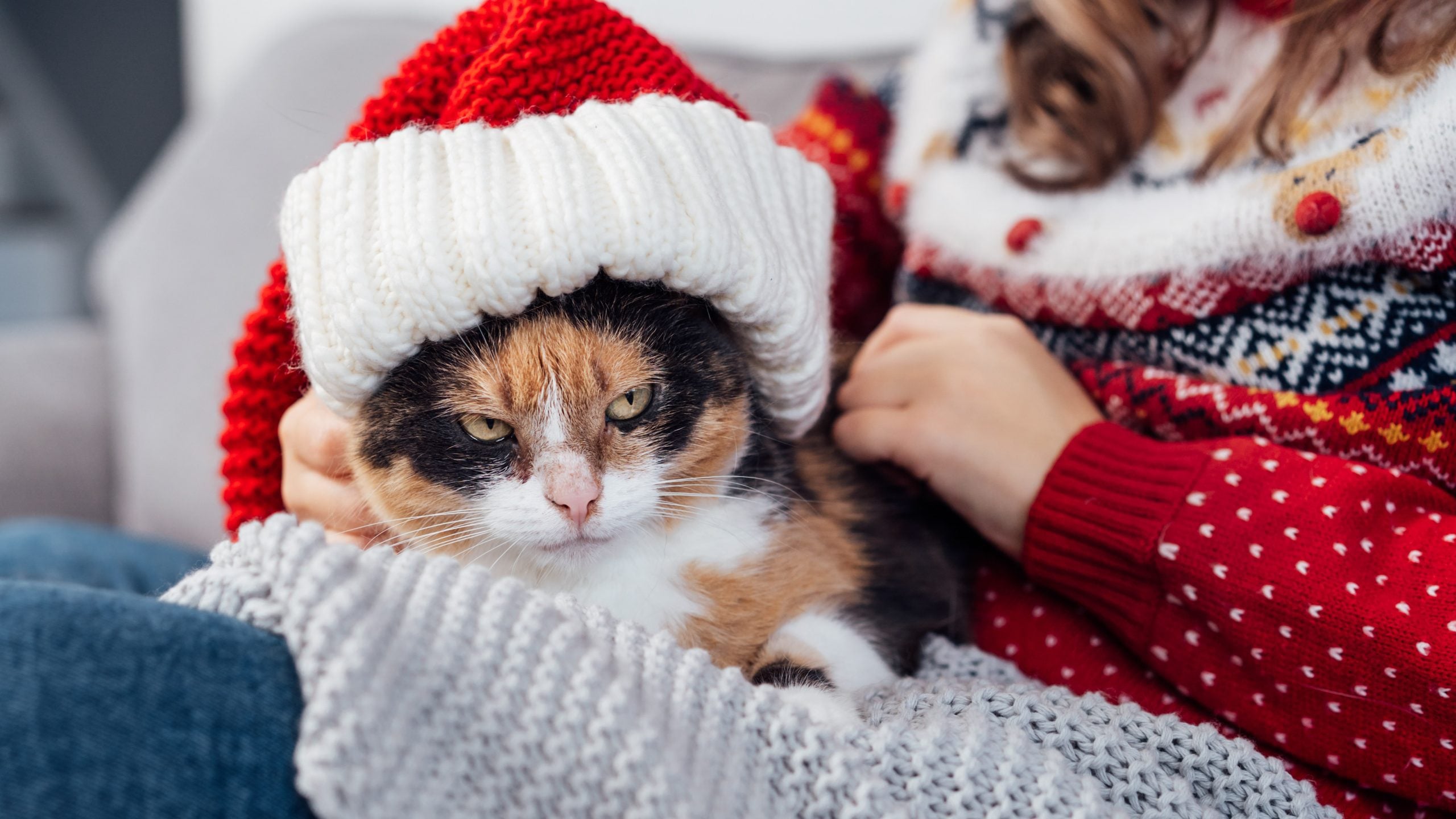 Don't let the Grinch steal your holiday shoot this year