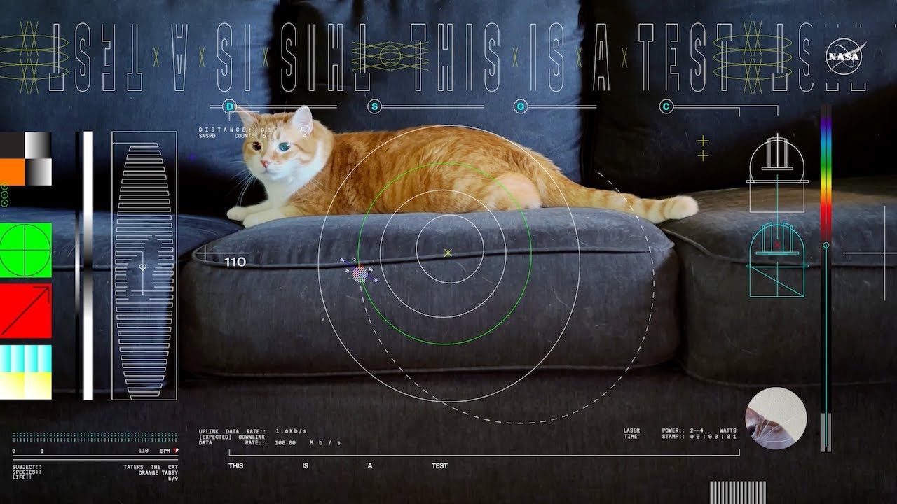 NASA beams cat video 19 million miles into space