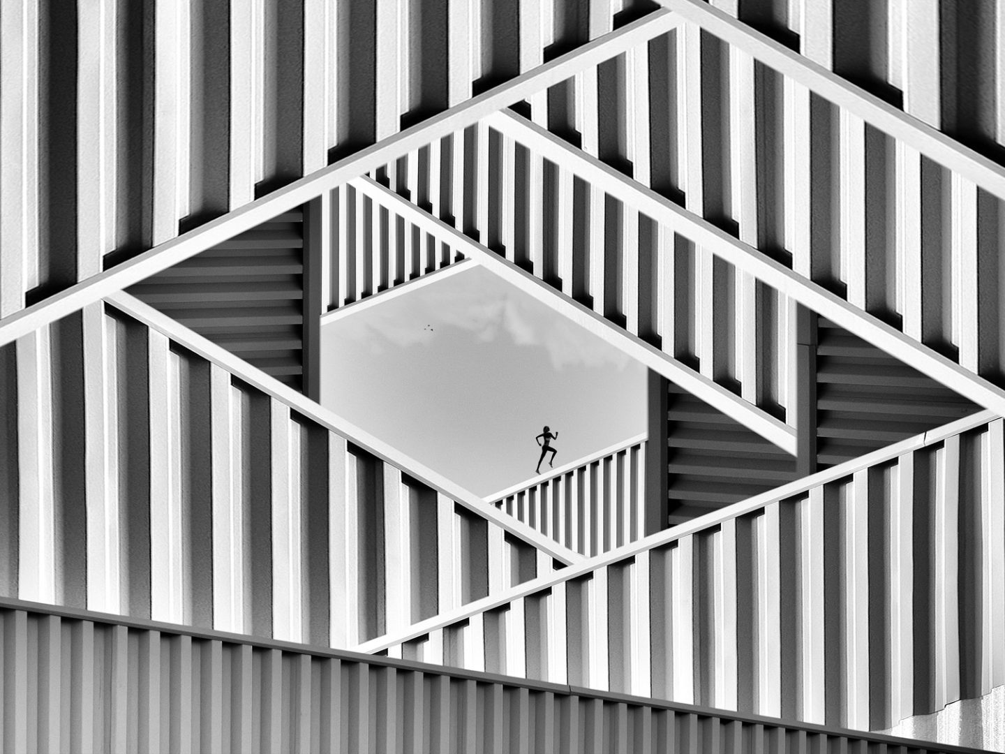 black and white photo contest non-professional