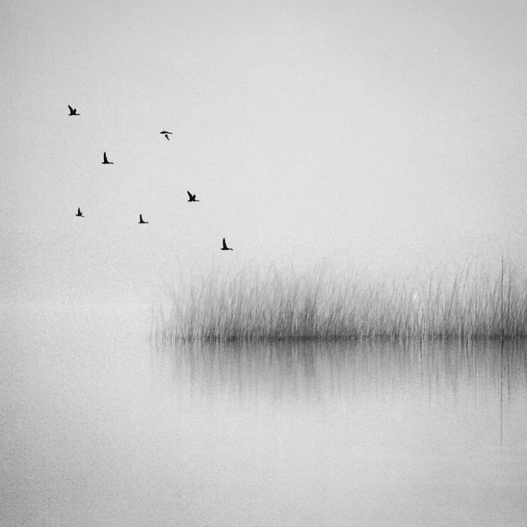 black and white photo contest non-professional