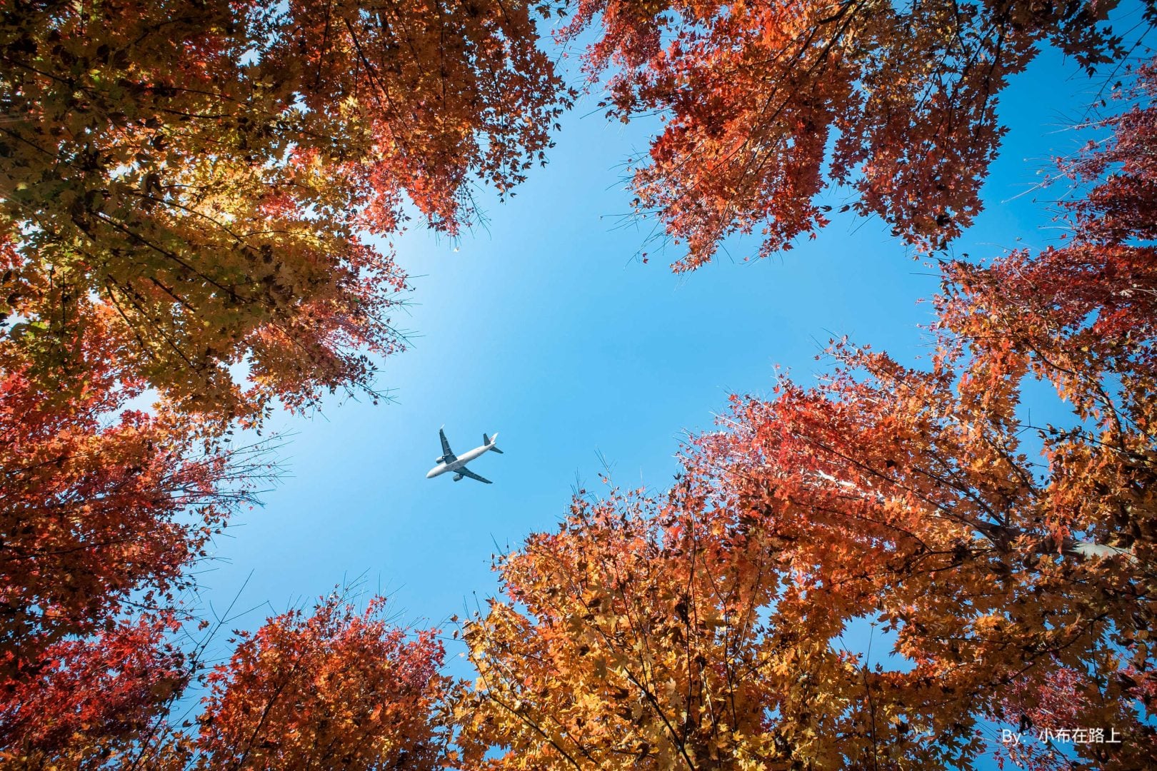 TTArtisan 10mm F2 APS-C Sample Photo