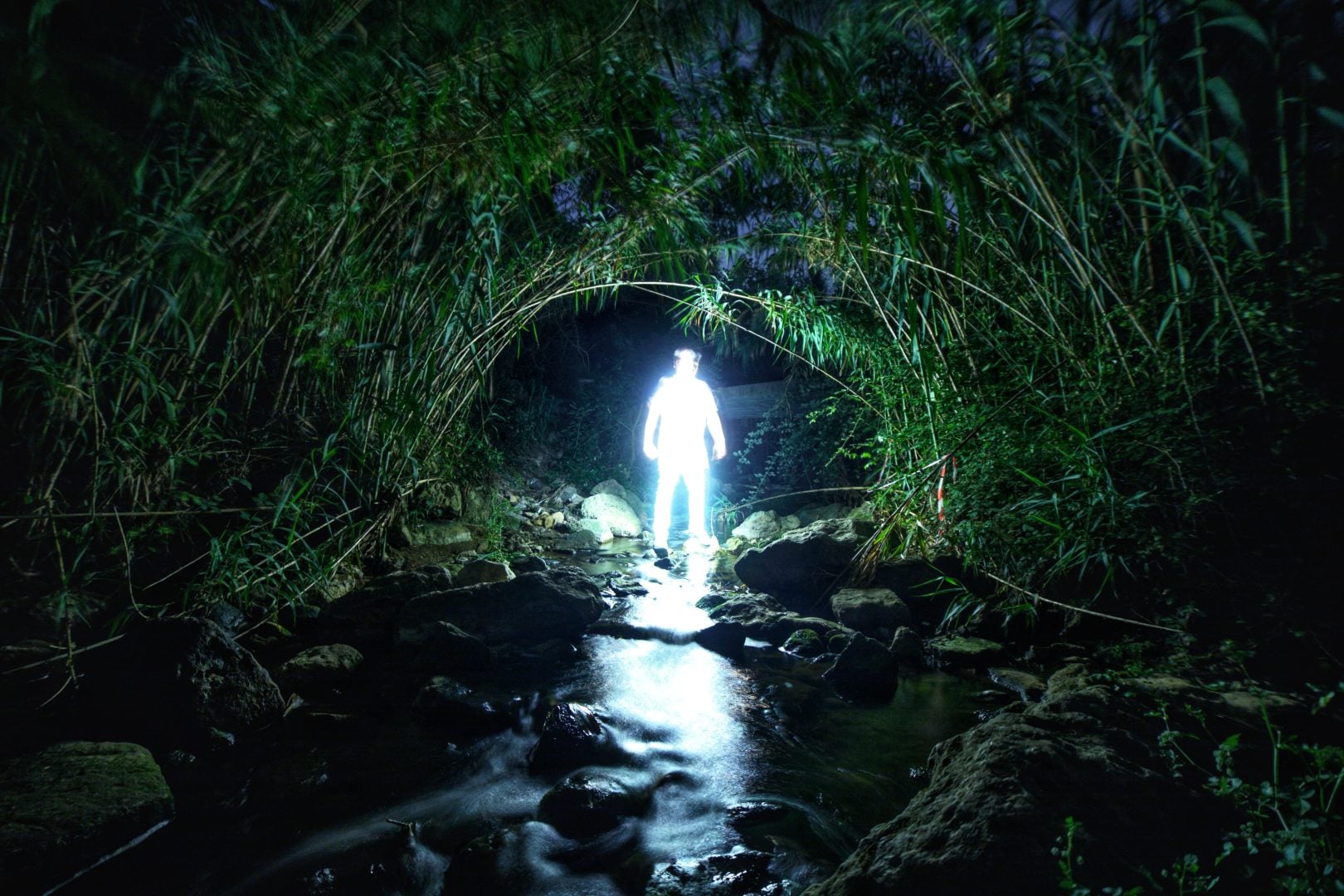 Biophotonic Human - Hugo Baptista