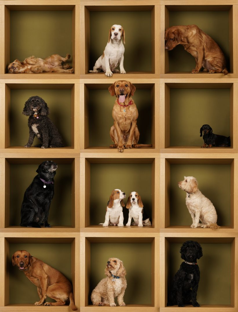 Nail this fun box-stacked portrait idea with these tips