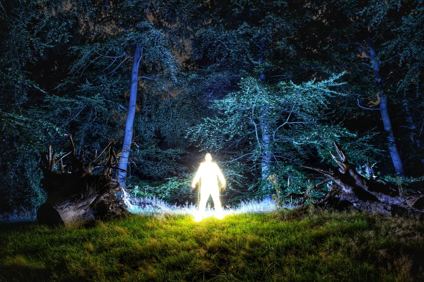 Biophotonic Human - Hugo Baptista