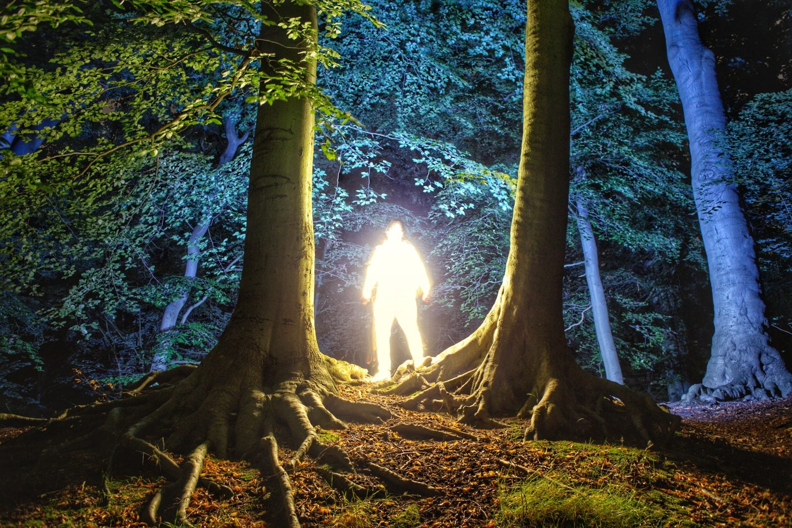 Biophotonic Human - Hugo Baptista