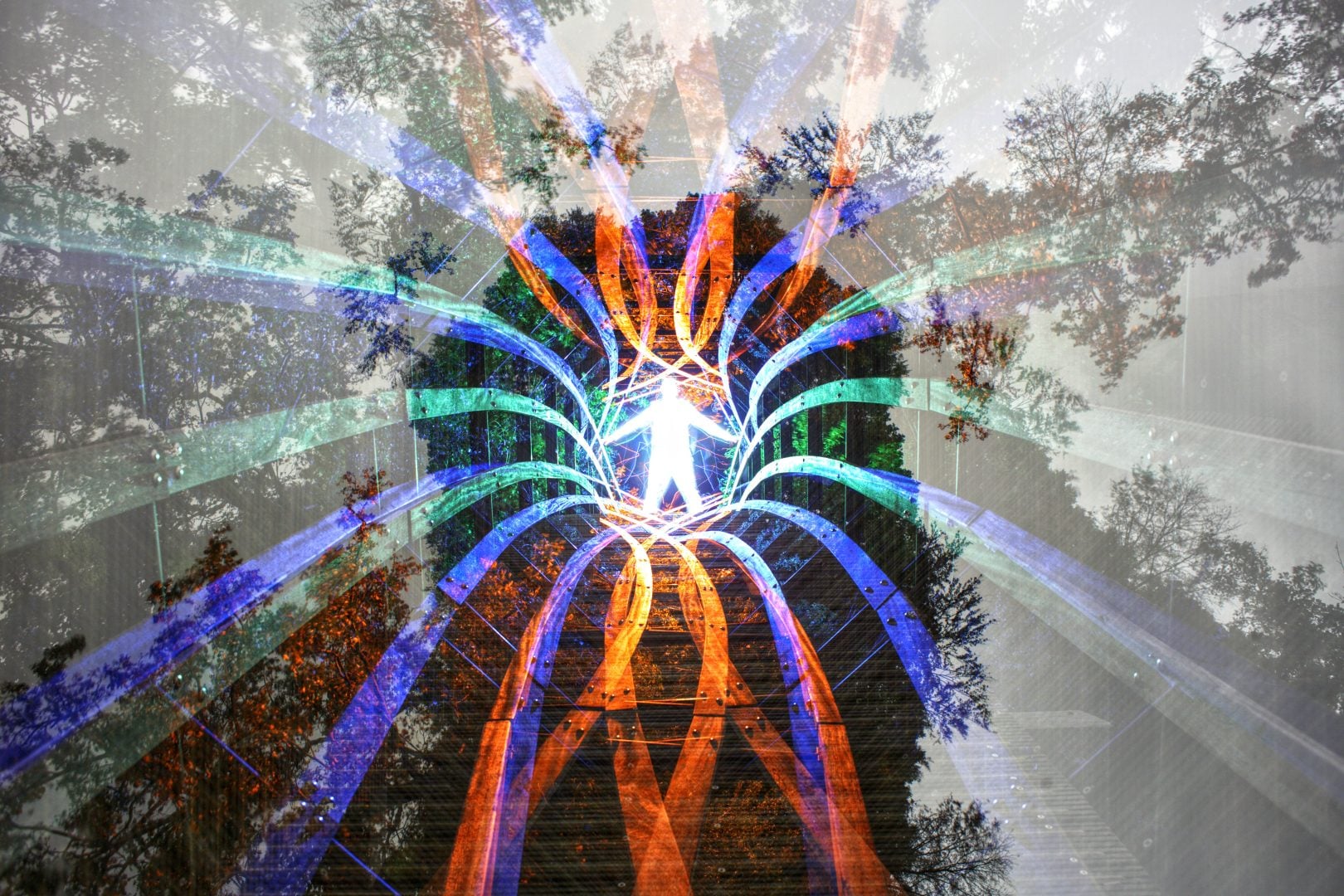 Biophotonic Human - Hugo Baptista