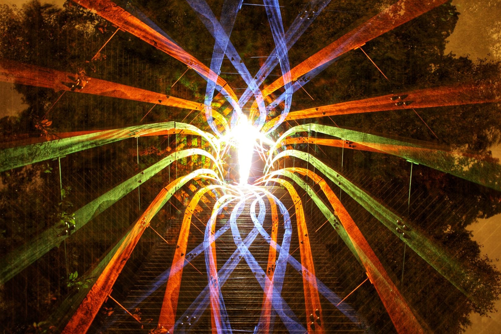 Biophotonic Human - Hugo Baptista