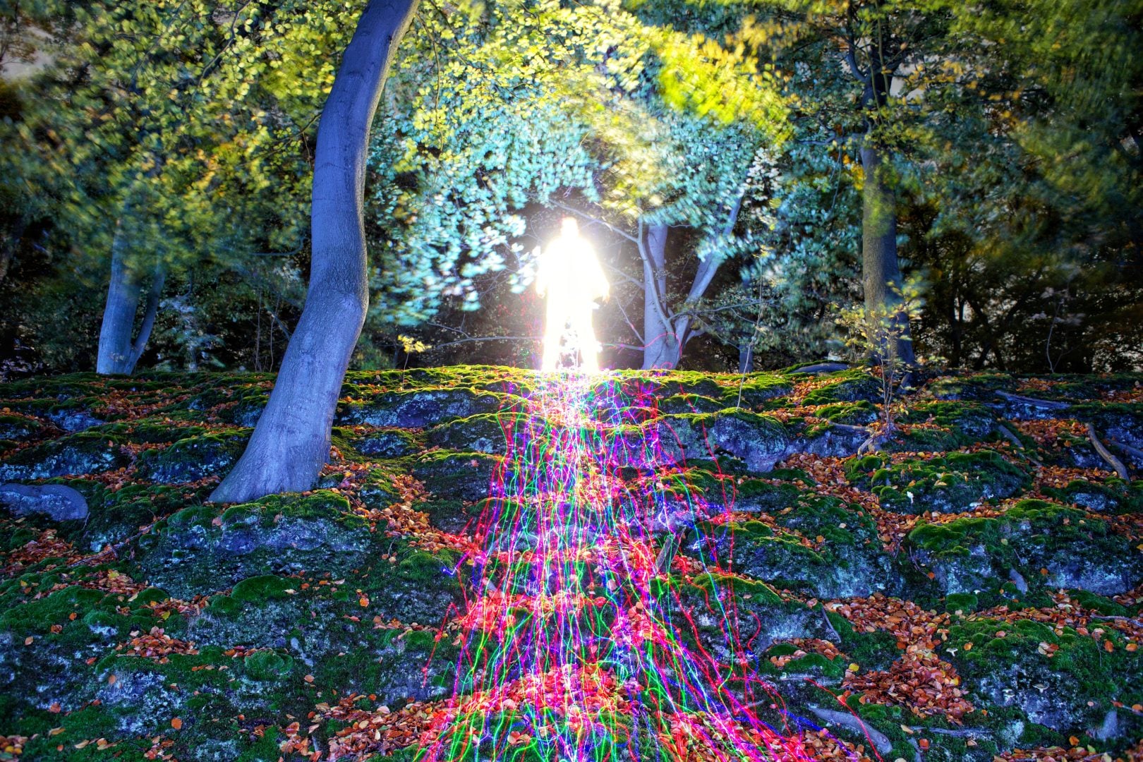 Biophotonic Human - Hugo Baptista