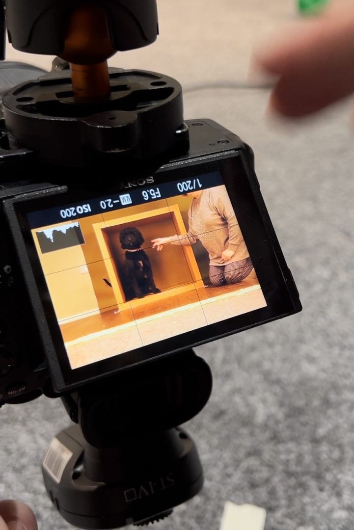 Nail this fun box-stacked portrait idea with these tips