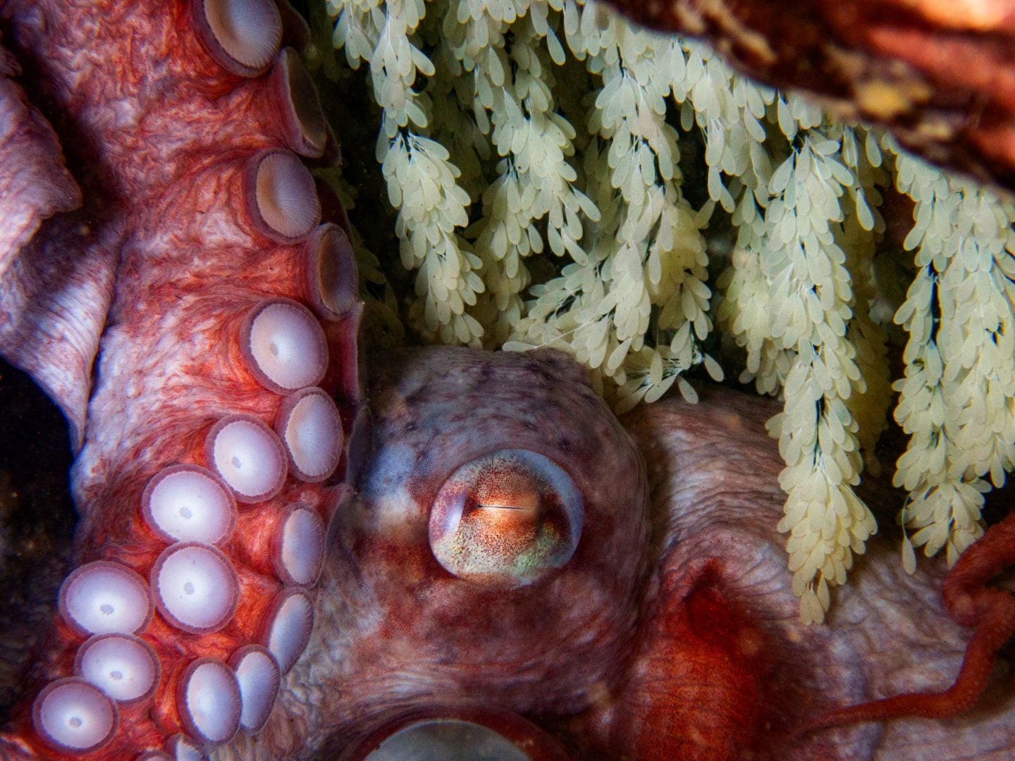 Underwater contest winners