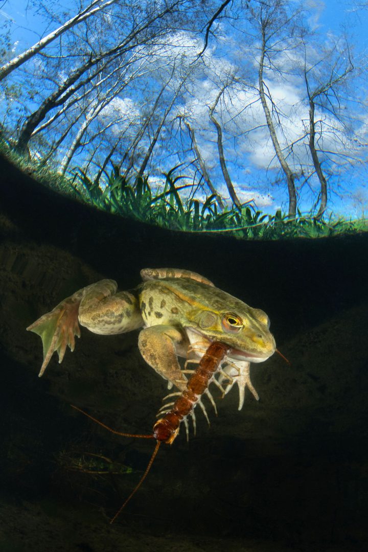 Underwater contest winners