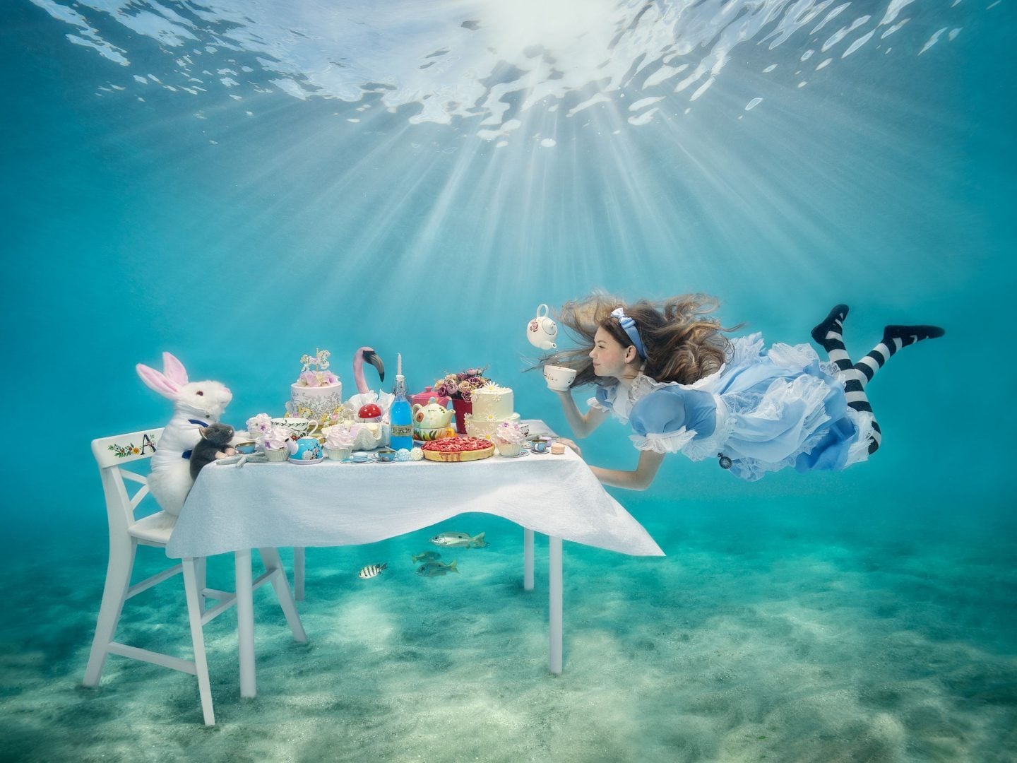 Ocean Art 2023 51