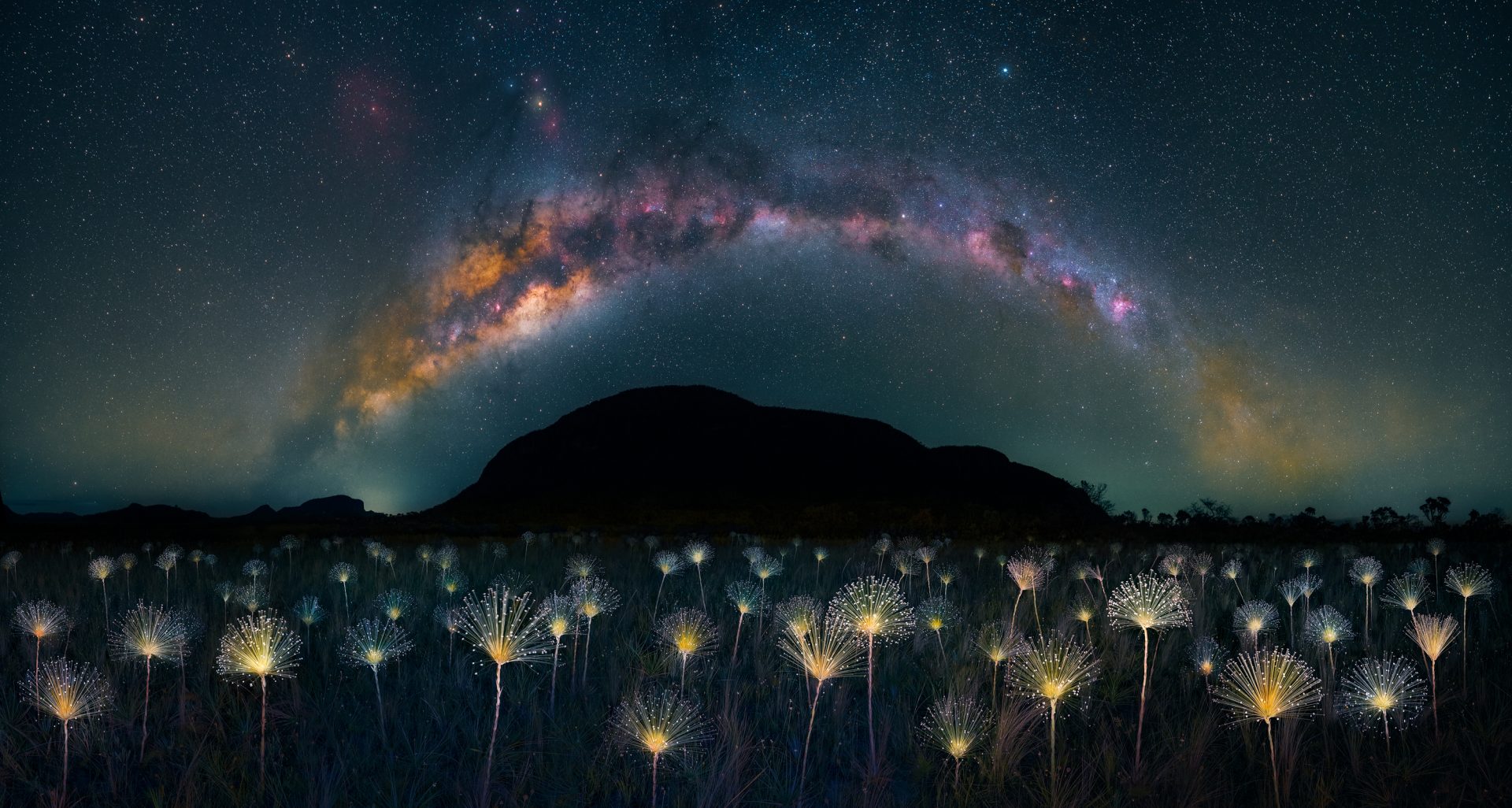 Nature Photography Contest 2023