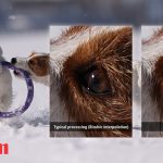 Canon AI thumbnail