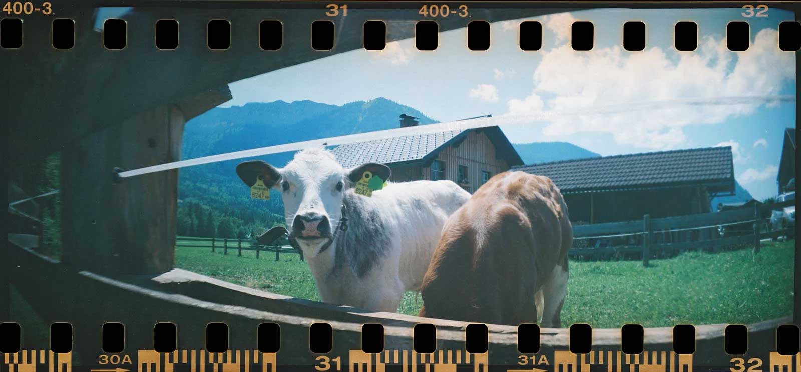 Lomography Sprocket Rocket