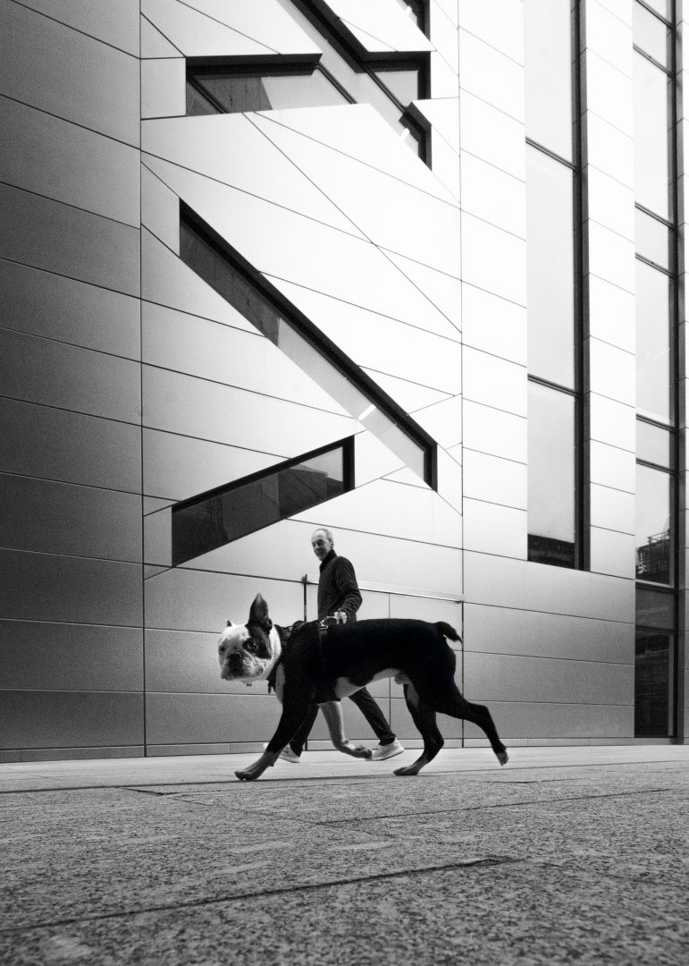 Selaru Ovidiu London dog