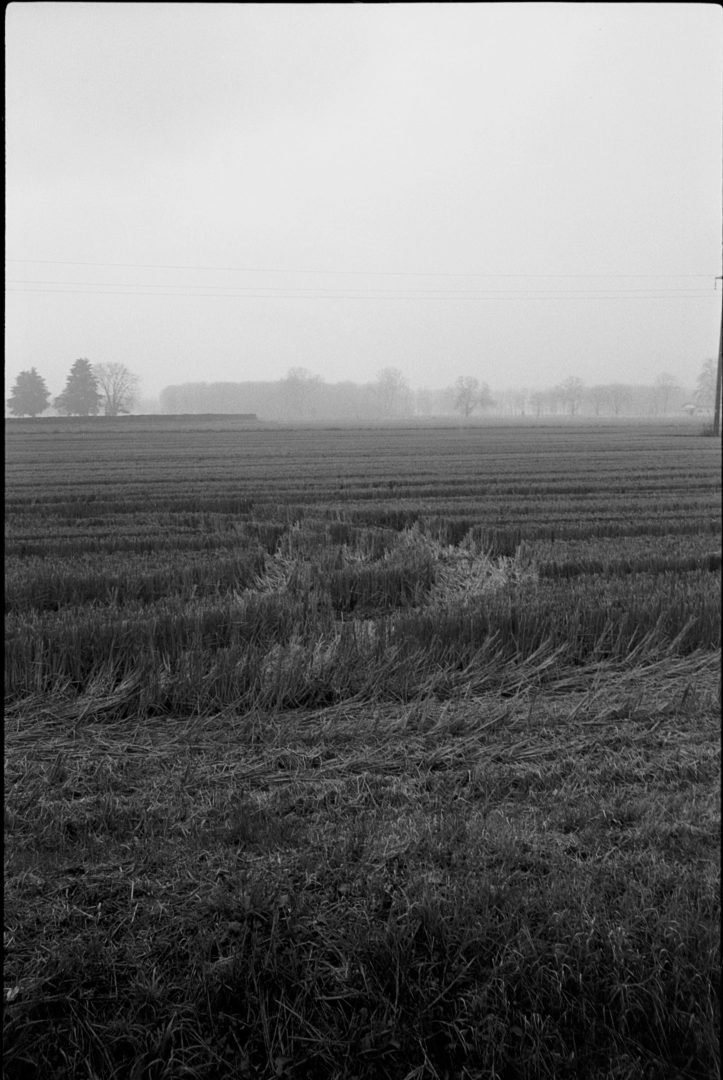 Ferrania P33 photo black and white field