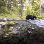 2023 Canadian Photos of the Year competition