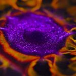 creation