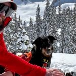 lost dog trail cam