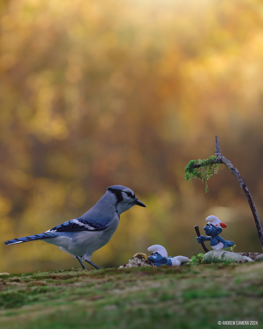 miniatures animals birds