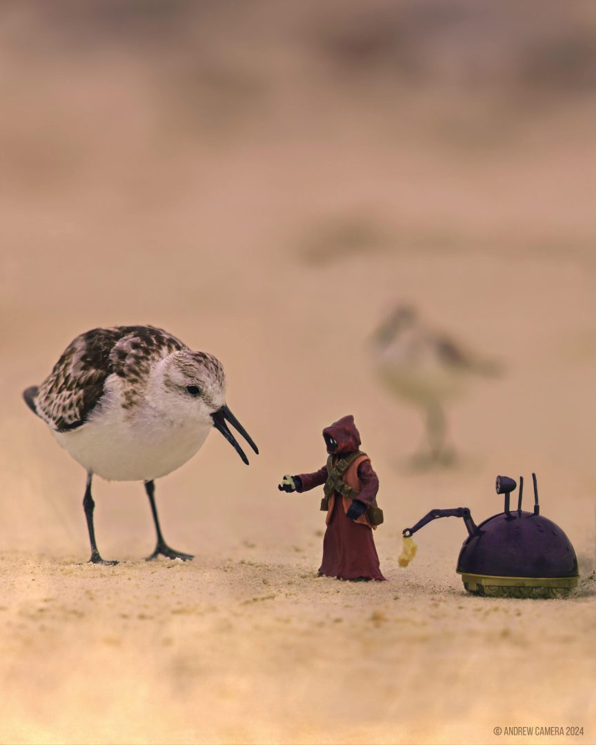 miniatures animals birds
