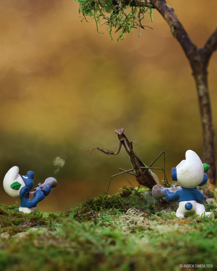miniatures animals birds