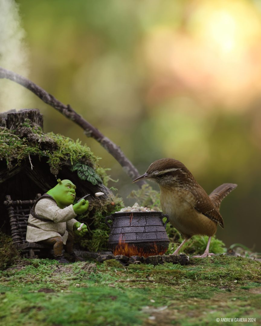 miniatures animals birds