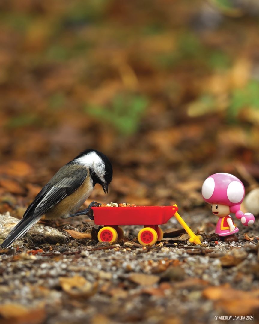 miniatures animals birds