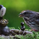 miniatures animals birds