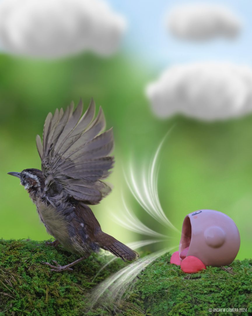 miniatures animals birds